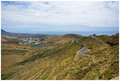 Valley of 1000 palm trees, Haria, Lanzarote