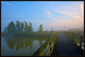 Morning Melody