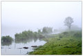 Swamp