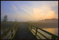 The Bridge