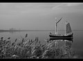 Oostvardersdijk III