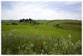 Tuscany Landscape