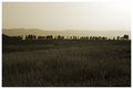 Tuscany Landscape