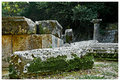 Doric Temple Ruins