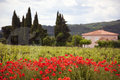 Somewhere in the Provence