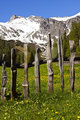 Schlickeralm