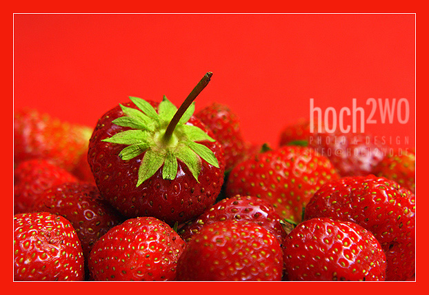 Hail the king of strawberries