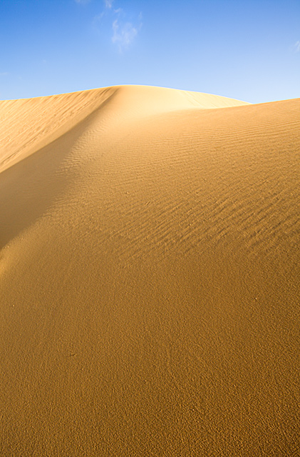 Fuerteventura, dune at El Jable II