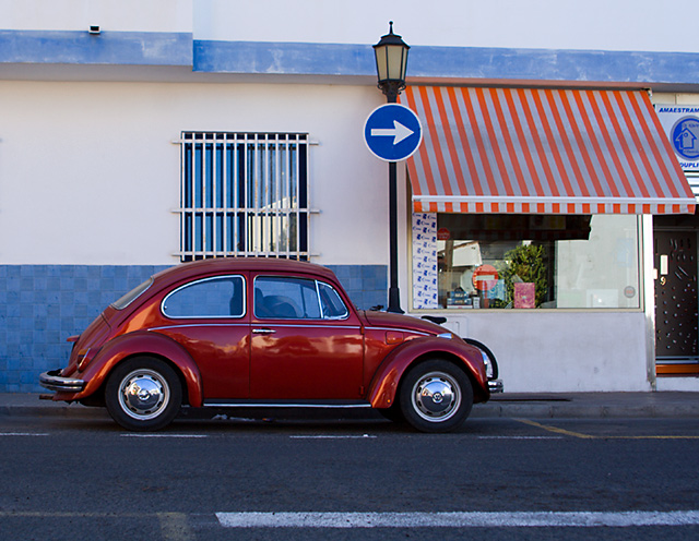 Fuerteventura, Beetle at Corralejo