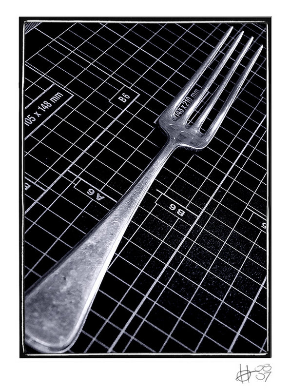 08: "Fork follows function"