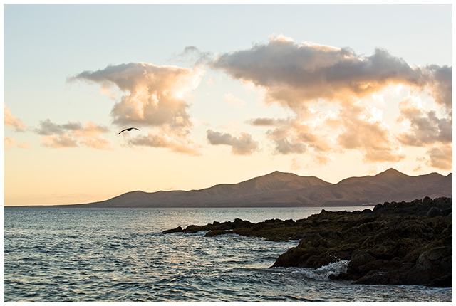 Rocky shores of Lanzarote