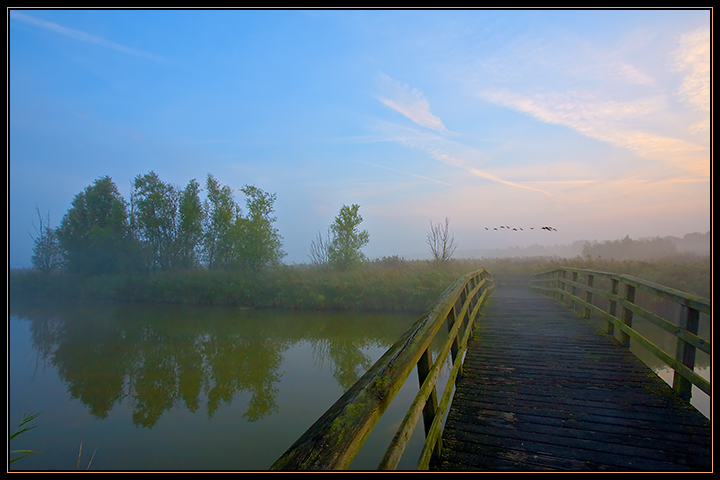 Morning Melody