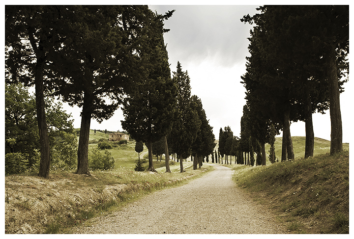 Cypress Avenue, Certaldo