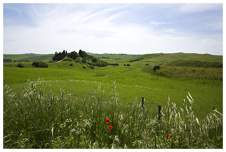 Tuscany Landscape