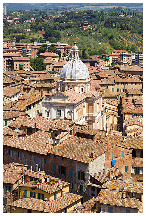 Roofs of Siena