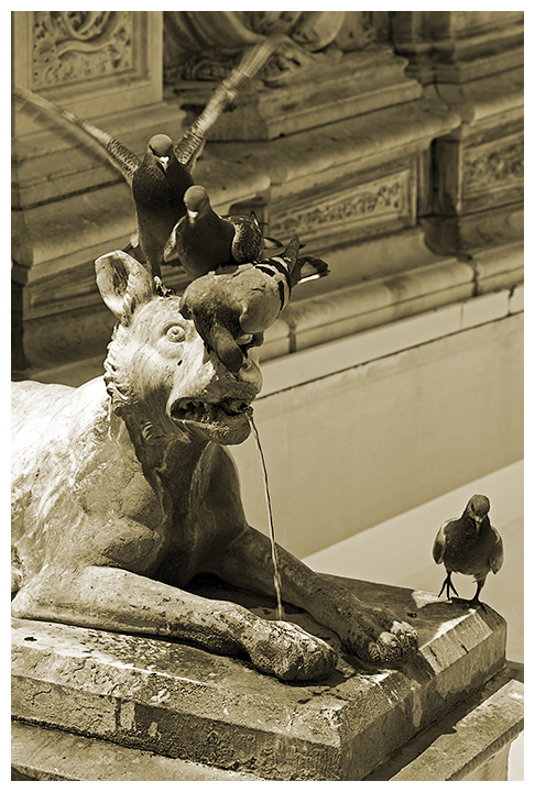 Fonte Gaia