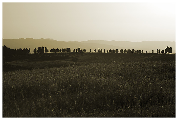 Tuscany Landscape