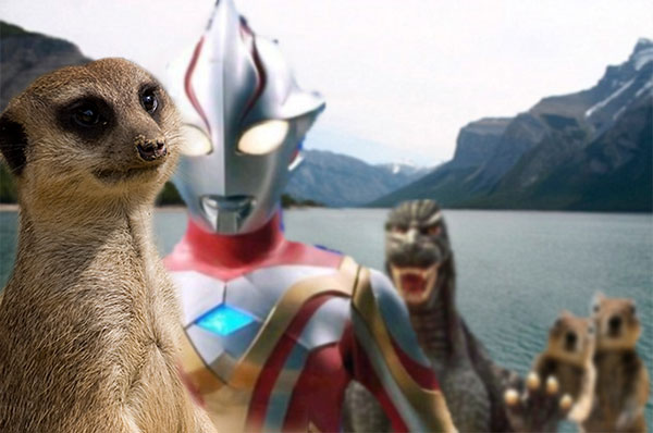 squirrel.jpg