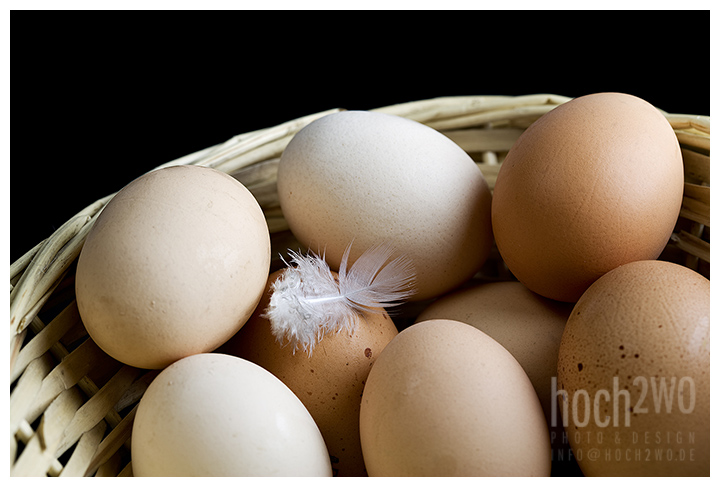 All Eggs In One Basket
