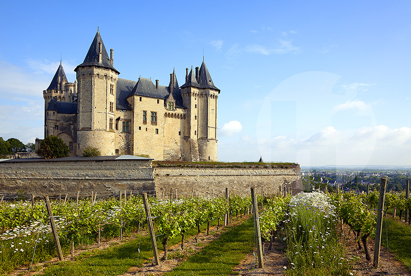 Château de Saumur