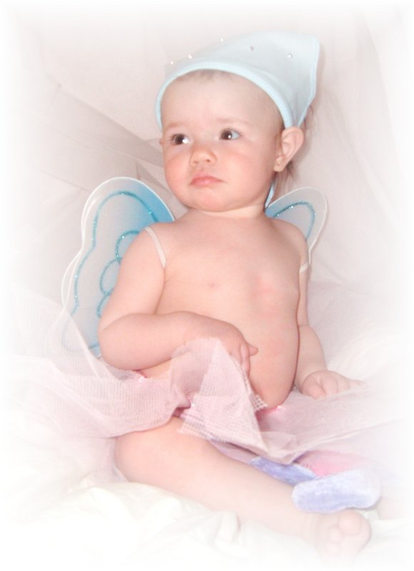 butterfly4.jpg