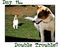 Day 11 - Double Trouble?