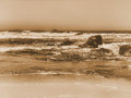 Waves