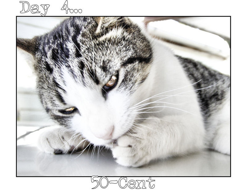 Day 4 - 50-Cent