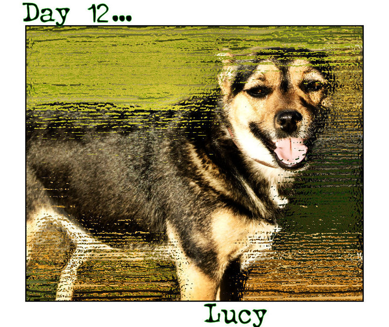 Day 12 - Lucy