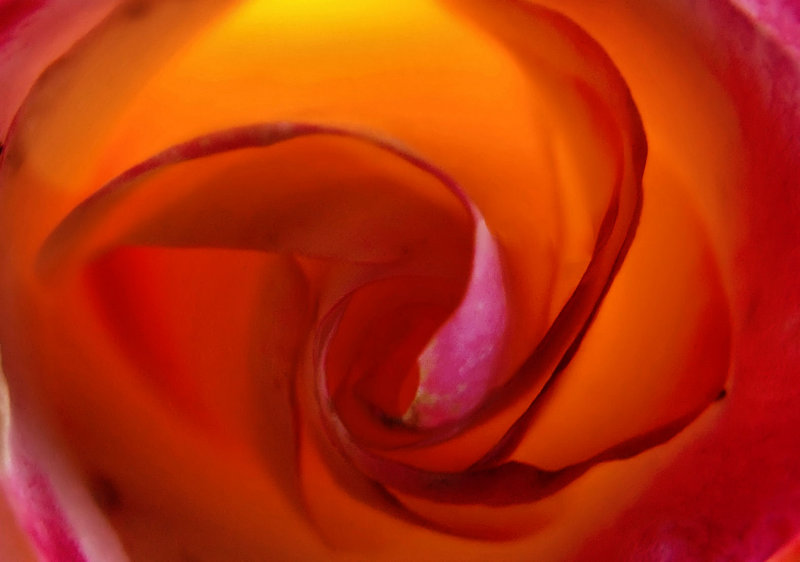 Passion