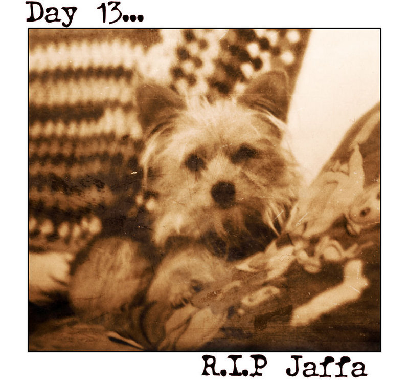 Day 13 - R.I.P Jaffa