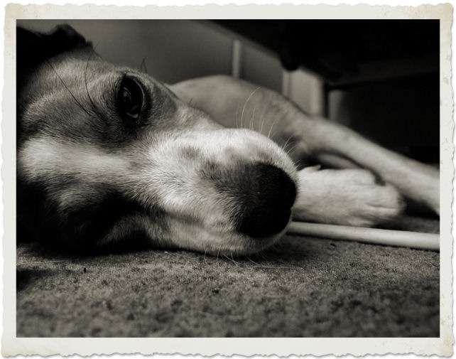 Day 15 - Lounging