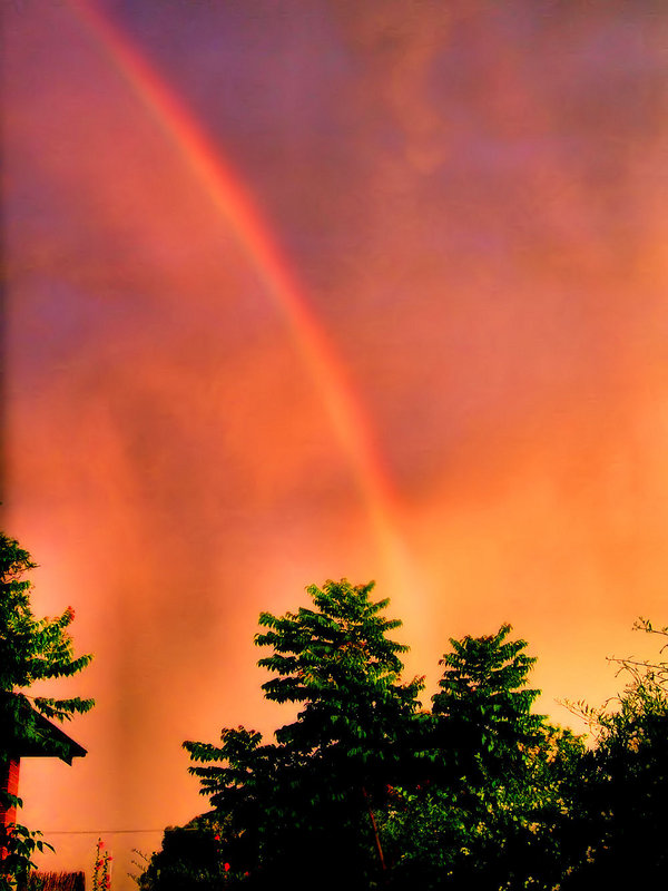 colors!!!.jpg