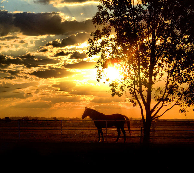 Sunrise