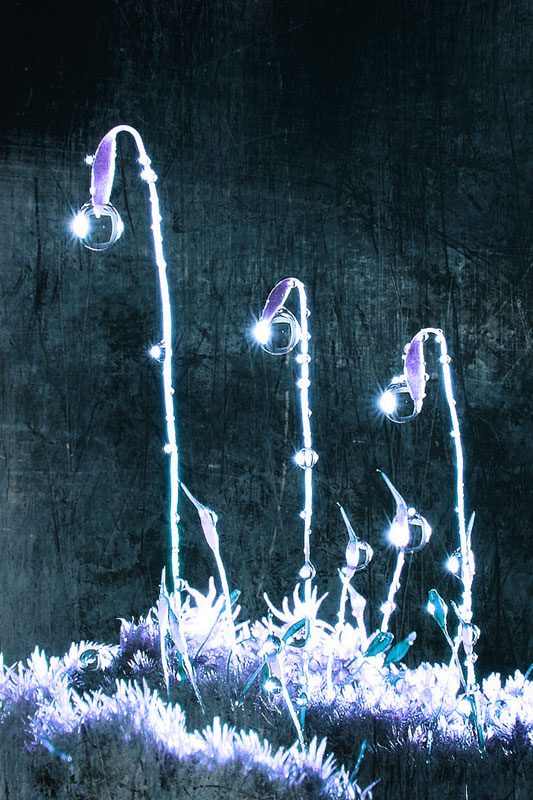 droplets_macwilyum.jpg