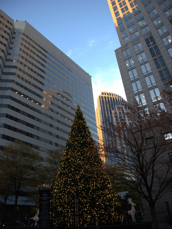 DSC_0057.jpg