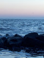 beaches, boats, and Jekyll 006.jpg