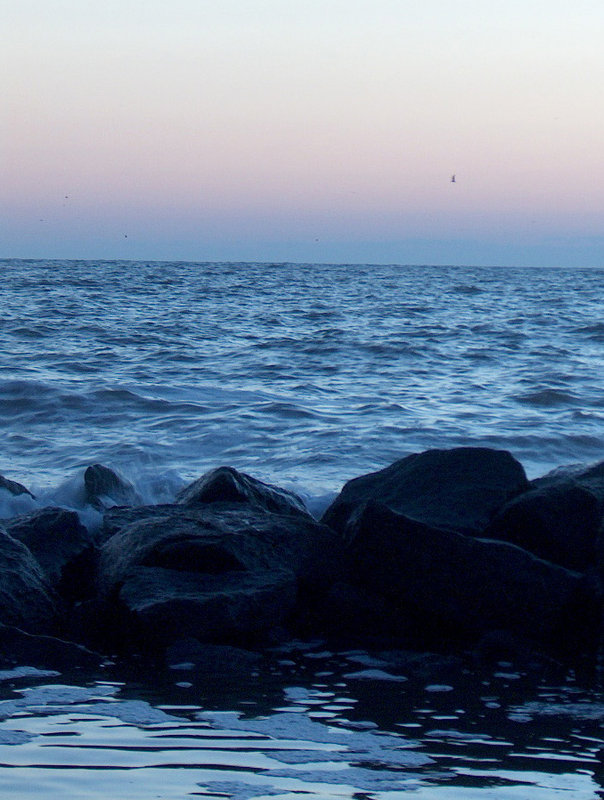 beaches, boats, and Jekyll 006.jpg