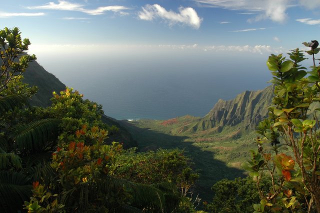 Kaua'i Lookout