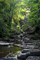 Sunny Creek