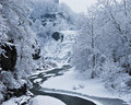 IMG_1924new.jpg
