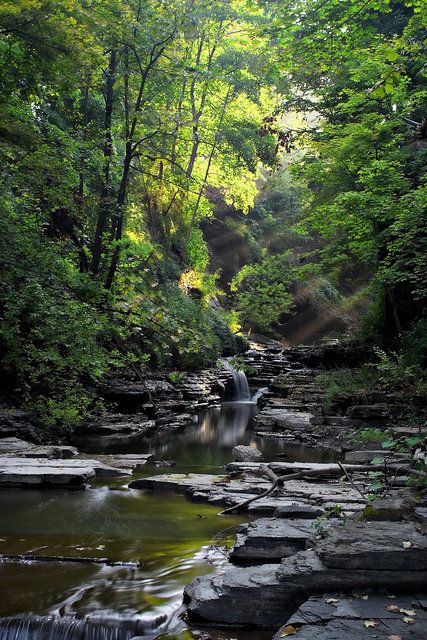 Sunny Creek