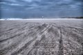 Sand-Sational 