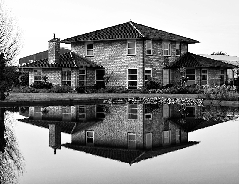 mirror-mirror
