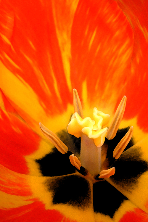 fire flower