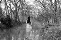 Lady of the Lake