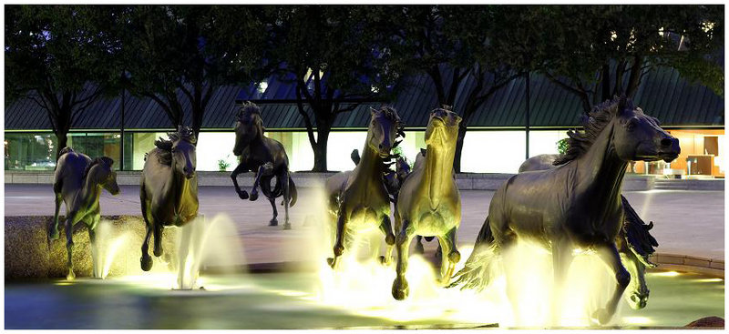 Mustangs