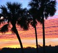 SunSet At Jax Airport