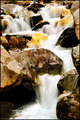 Water & Stones