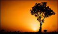 waiting on sunset_2